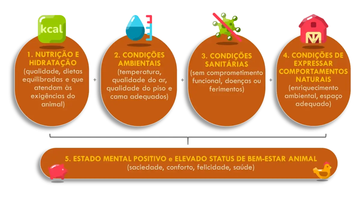 Cinco-dominios-croped