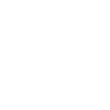 x-icon