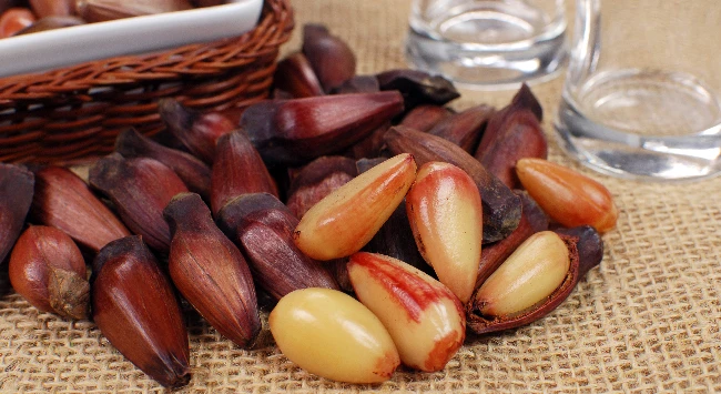 Pinhão cozido em cima de uma mesa.