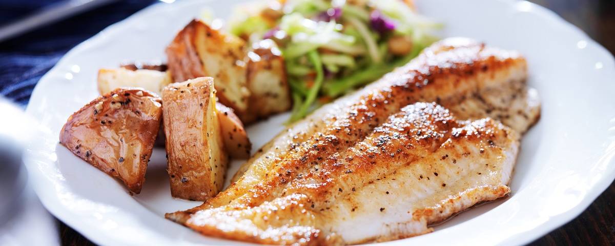 tilapia1200480-1